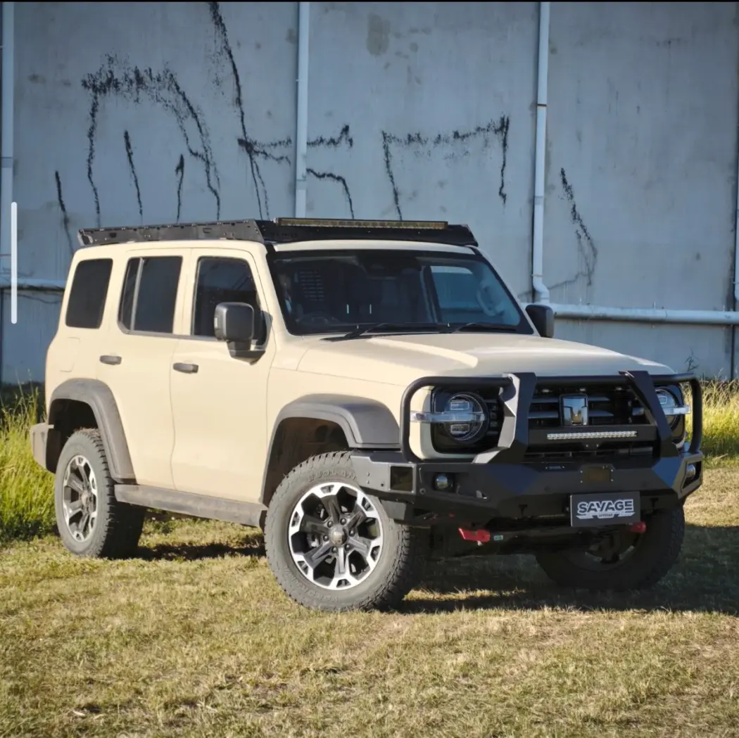 TANK 300 ARMOUR (HOOPED) BULL BAR ALL MODELS - PHEV